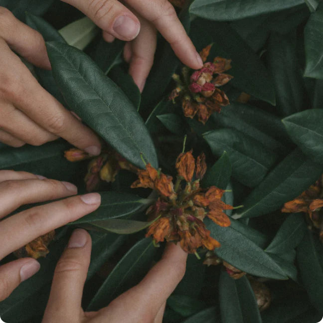 Trust [About Us]